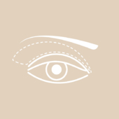 Schnittführung  Oberlidstraffung