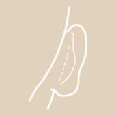 Hautschnitt zur  Freilegung der Ohrmuschel