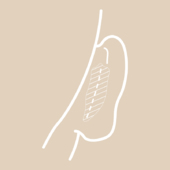 Ausdünnung und Modellierung des Knorpels