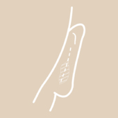 Rückverlagerung  und Fixierung