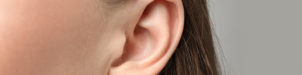 ästhetische Aufnahme eines wohlgeformten Ohres